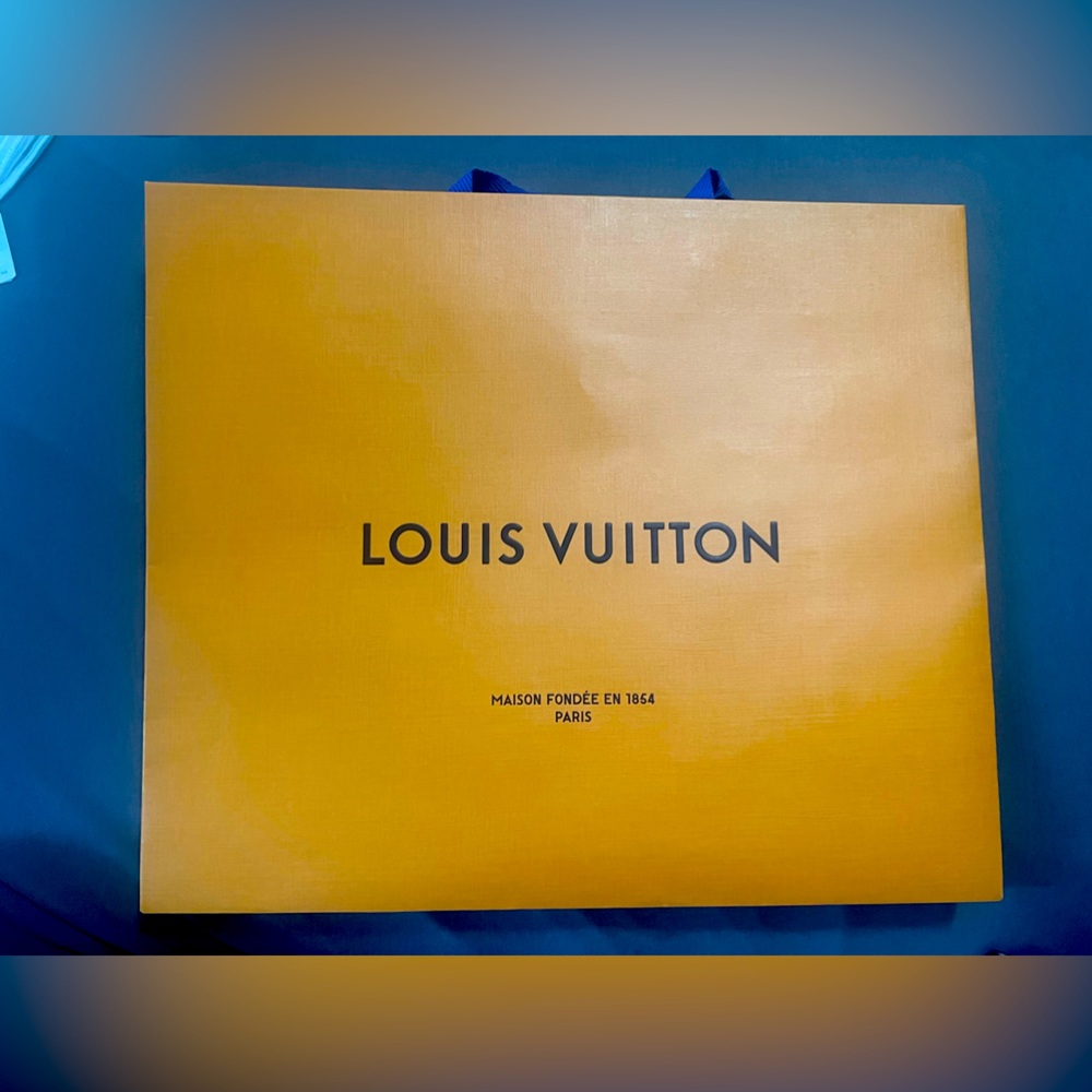 Louis Vuitton Large Empty Shopping/Gift Bag
